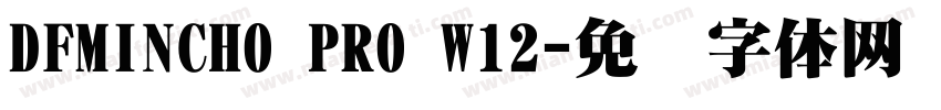 DFMINCHO PRO W12字体转换